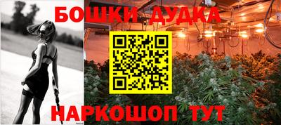 гидра Краснокаменск