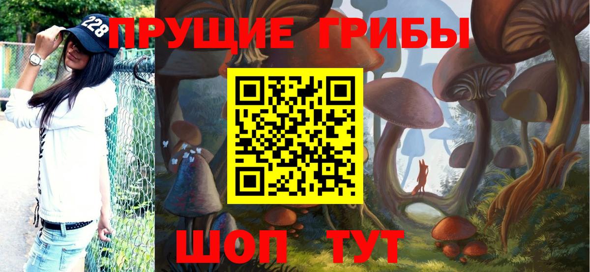 Псилоцибиновые грибы GOLDEN TEACHER  Галлюциногенные грибы Psilocybine cubensis  Вход с VPN  Десногорск 